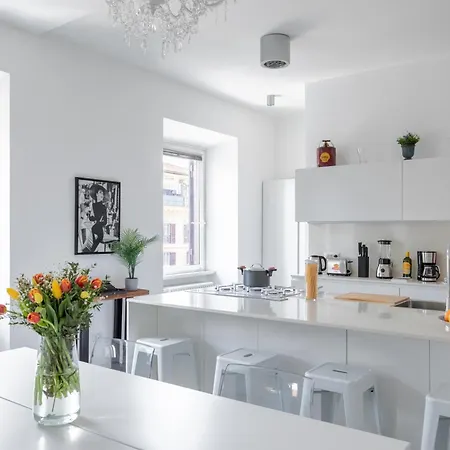 Apartment Trastevere Modern 4br 4baths, Wifi, Ac, Custom Kitchen, Living Rome